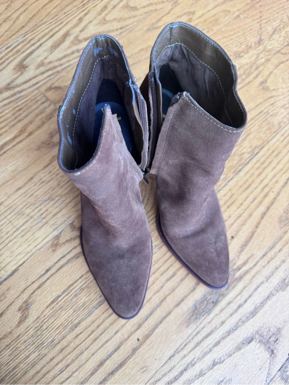 Sam Edelman Brown Suede Ankle Boots with Block heel,Neutral, Versatile,Chocolate